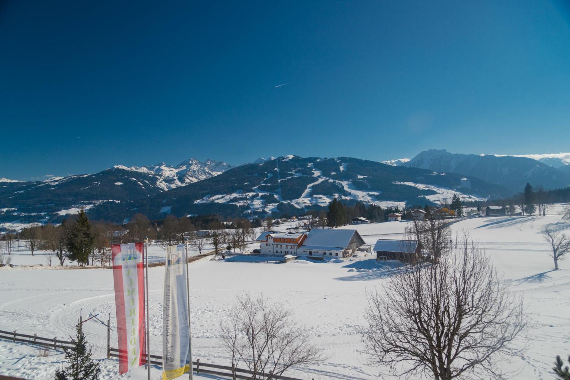 Almfrieden Hotel & Romantikchalet Ramsau am Dachstein Exterior foto